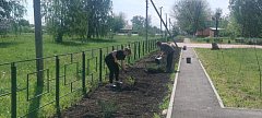 Сельский парк преображается