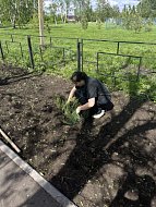 Сельский парк преображается