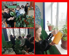 «Орлята учатся заботиться о природе