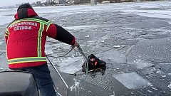 Служба спасения Саратовской области о том, как выбраться провалившемуся под лёд человеку
