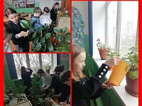 «Орлята учатся заботиться о природе