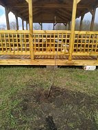 В Низовке продолжают благоустраивать территорию вблизи сельского кладбища