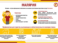 Всемирный день борьбы против малярии. Малярия – история болезни. Меры профилактики малярии