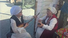 В Саратовской области высокий интерес к культурным мероприятиям в Парке покорителей космоса