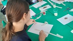 Школьники из Благовещенки готовятся к посадочному сезону