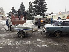 В Самойловке прошла сельхозярмарка