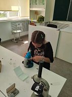 Микромир своими глазами: дети изучали биологию