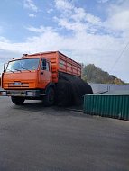 Побывав на мехтоку, школьники узнали, как зерно готовят к хранению