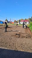 В Полтавке в центре села высадили хвойные 