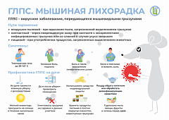 О профилактике геморрагической лихорадки с почечным синдромом