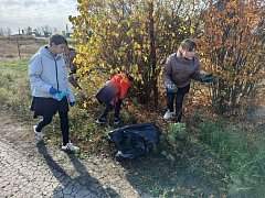 Улицы родного села стали чище