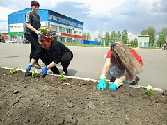 В Самойловке высадили цветы