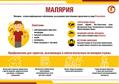 Всемирный день борьбы против малярии. Малярия – история болезни. Меры профилактики малярии