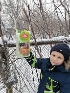 В Красавке первоклассники развесили кормушки для птиц