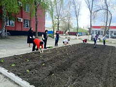 В Самойловке высадили цветы