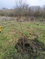 В Низовке продолжают благоустраивать территорию вблизи сельского кладбища